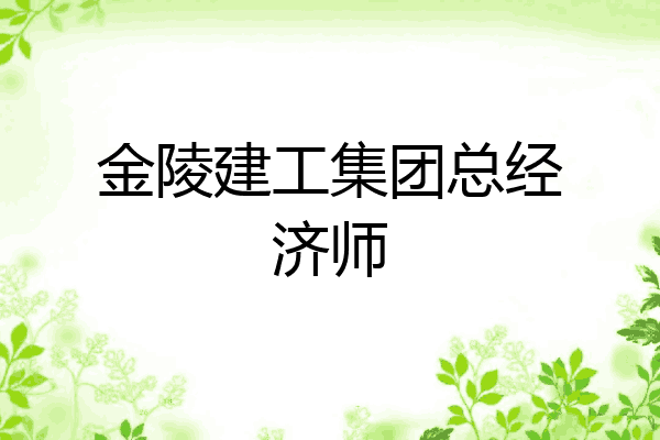 金陵建工集团总经济师