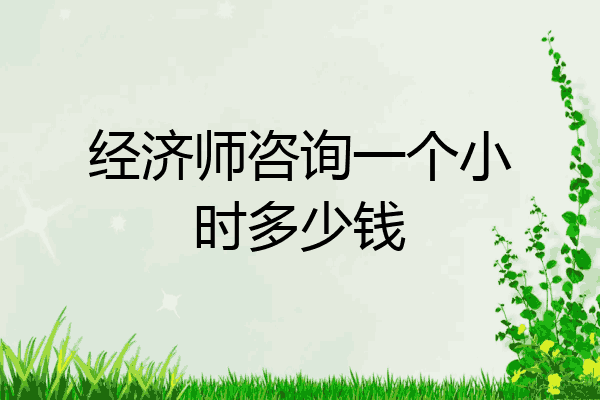 经济师咨询一个小时多少钱