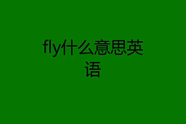 fly什么意思英语