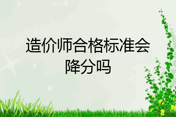 造价师合格标准会降分吗