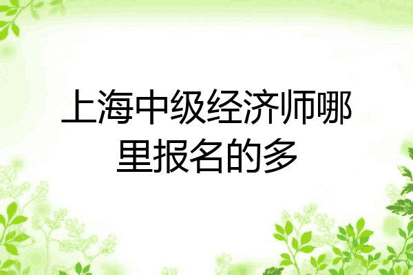 上海中级经济师哪里报名的多