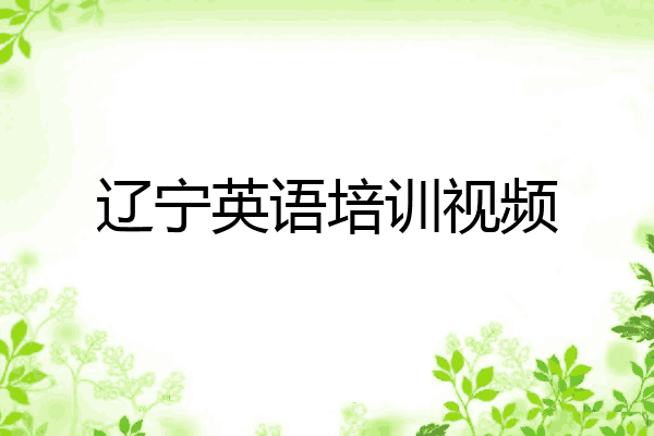 辽宁英语培训视频