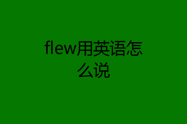 flew用英语怎么说