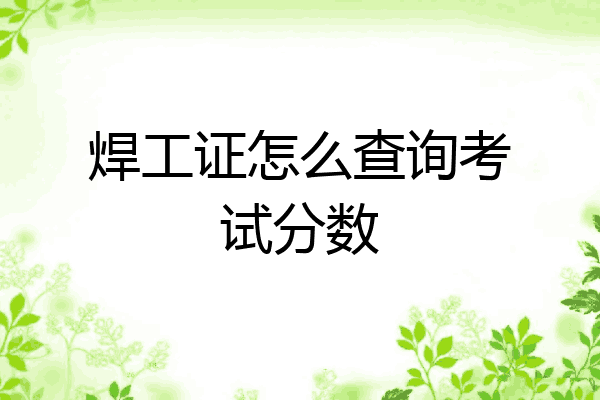 焊工证怎么查询考试分数