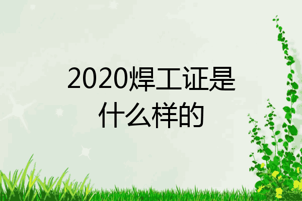 2020焊工证是什么样的