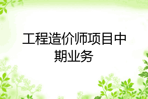 工程造价师项目中期业务