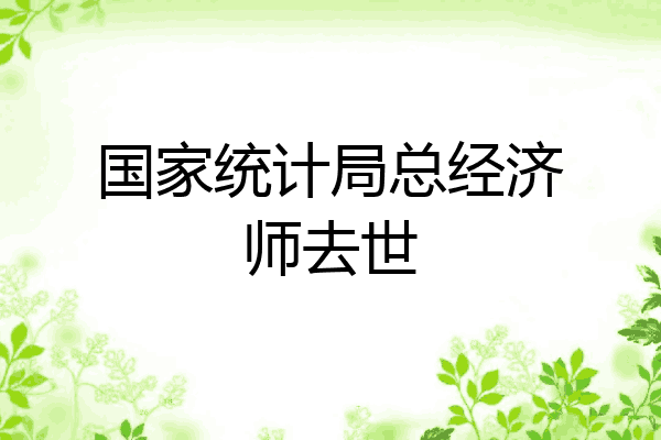国家统计局总经济师去世