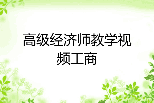 高级经济师教学视频工商