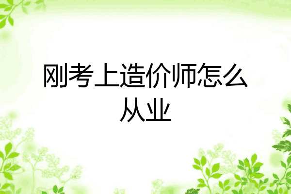 刚考上造价师怎么从业