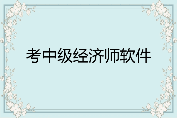考中级经济师软件