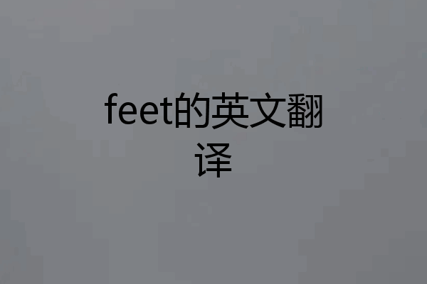 feet的英文翻译