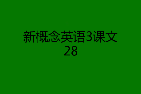 新概念英语3课文28