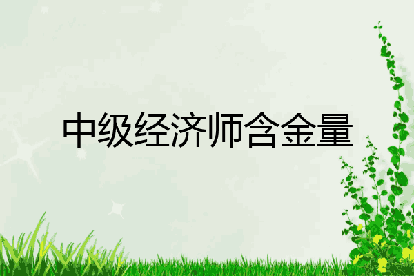 中级经济师含金量