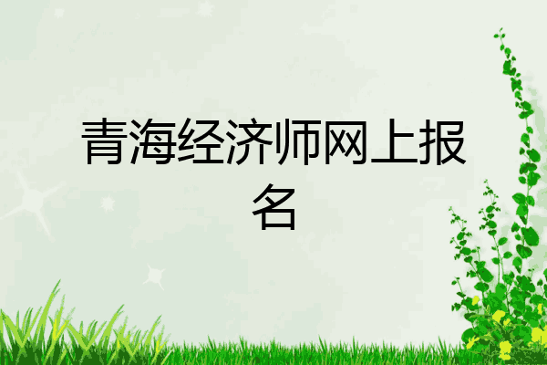 青海经济师网上报名