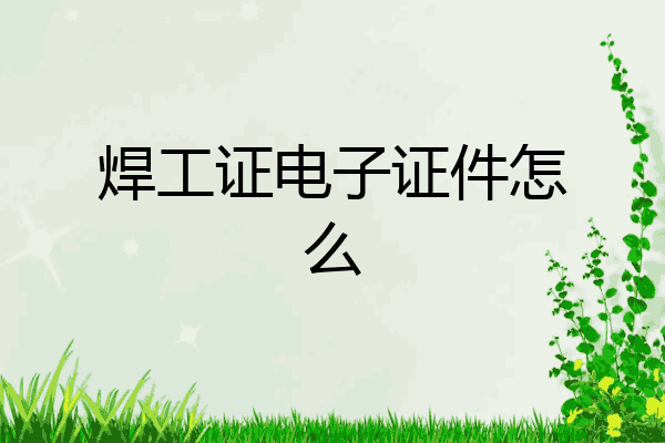 焊工证电子证件怎么