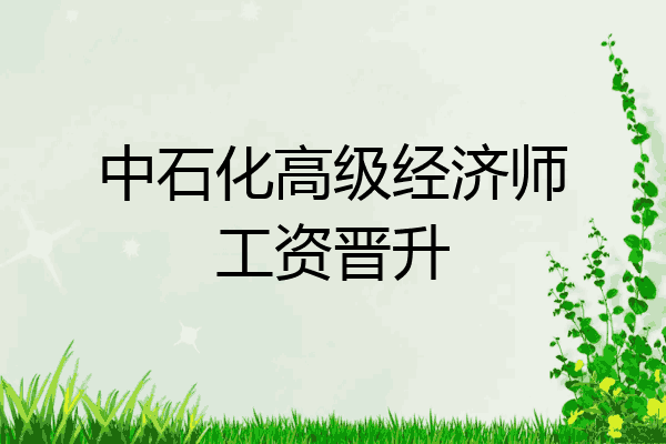 中石化高级经济师工资晋升