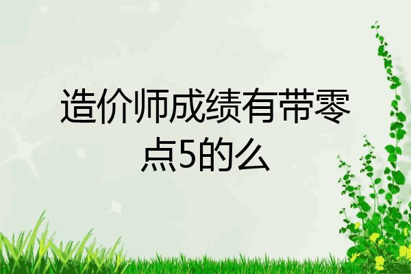 造价师成绩有带零点5的么