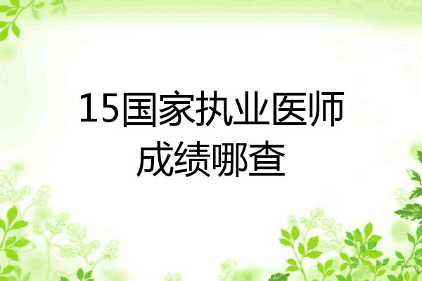 15国家执业医师成绩哪查