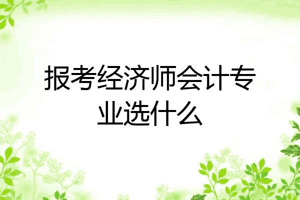 报考经济师会计专业选什么