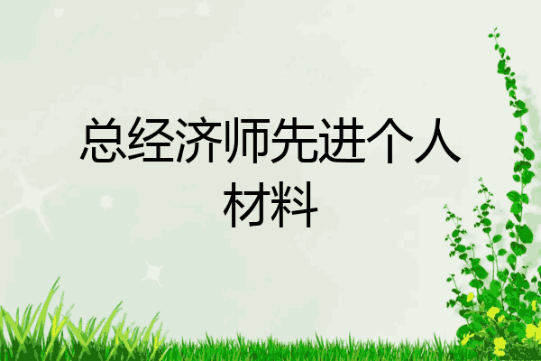 总经济师先进个人材料