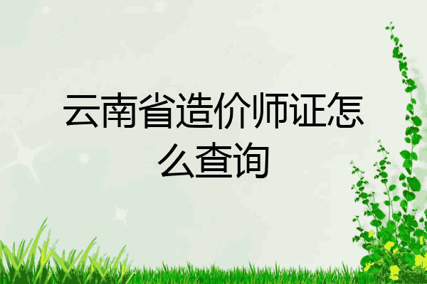 云南省造价师证怎么查询