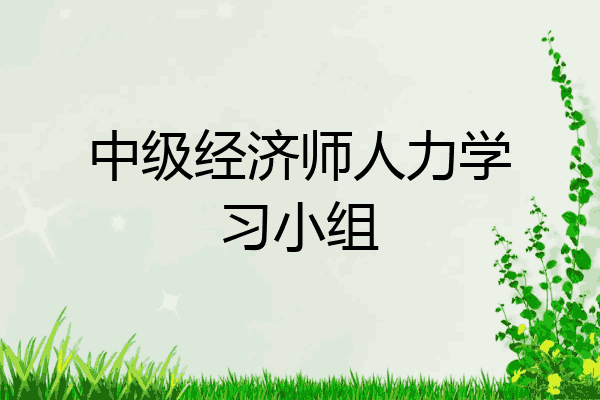 中级经济师人力学习小组