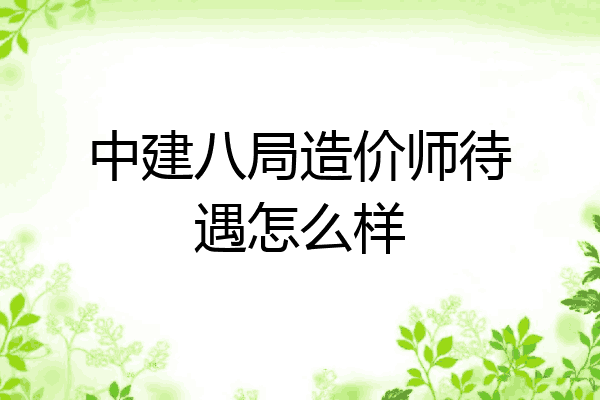 中建八局造价师待遇怎么样