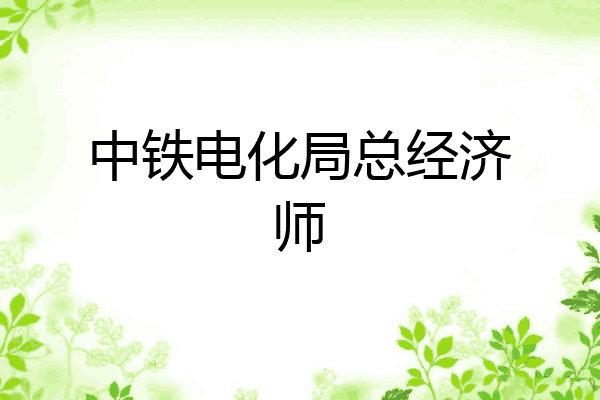 中铁电化局总经济师