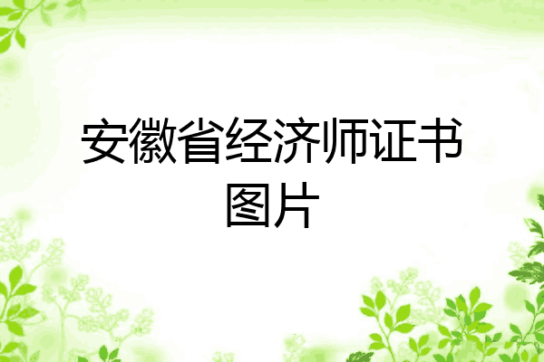 安徽省经济师证书图片