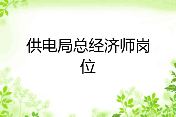 供电局总经济师岗位