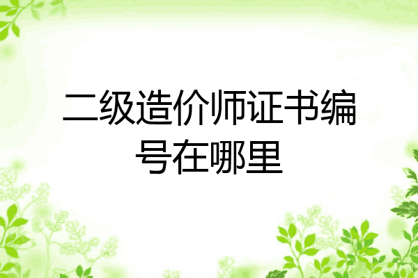 二级造价师证书编号在哪里