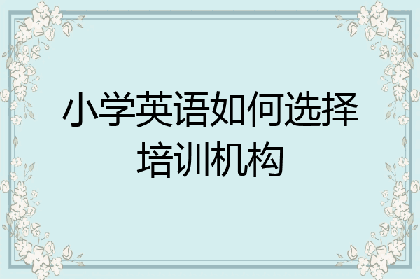 小学英语如何选择培训机构