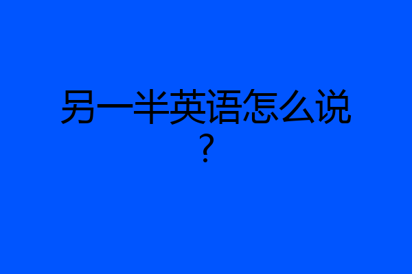 另一半英语怎么说?