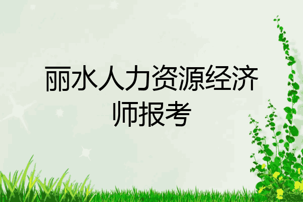 丽水人力资源经济师报考