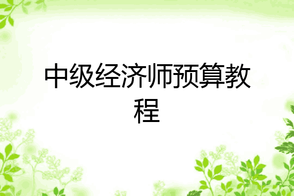 中级经济师预算教程