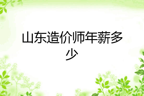 山东造价师年薪多少