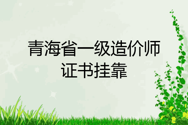 青海省一级造价师证书挂靠