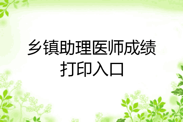 乡镇助理医师成绩打印入口