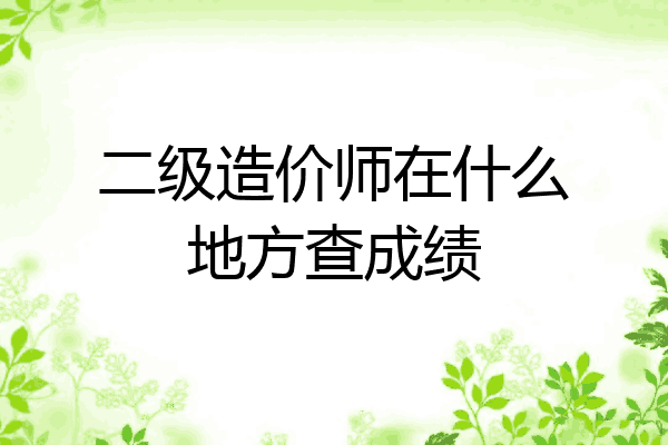 二级造价师在什么地方查成绩