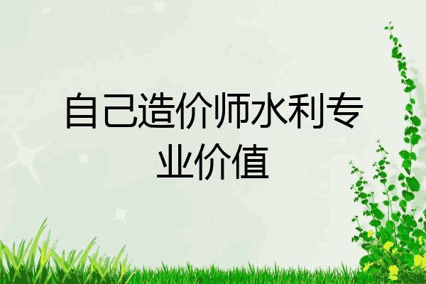 自己造价师水利专业价值