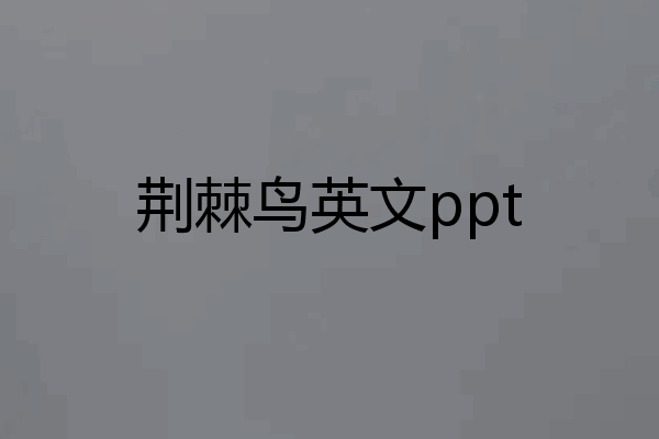 荆棘鸟英文ppt