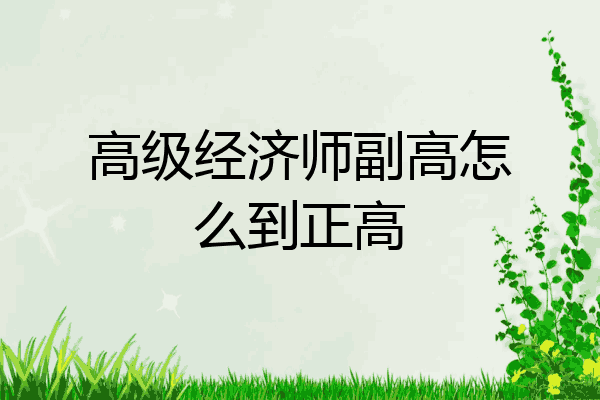 高级经济师副高怎么到正高