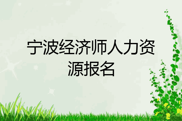 宁波经济师人力资源报名