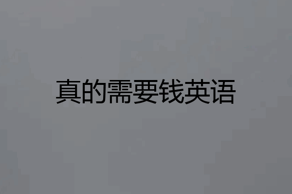 真的需要钱英语