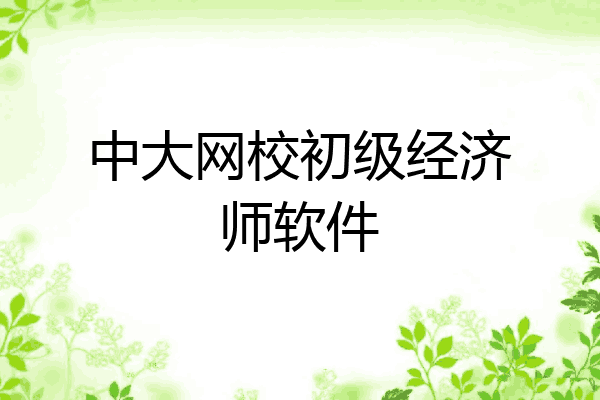 中大网校初级经济师软件