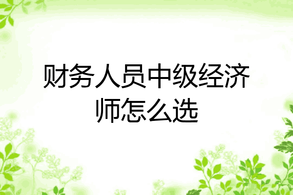 财务人员中级经济师怎么选
