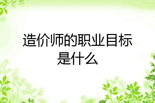 造价师的职业目标是什么