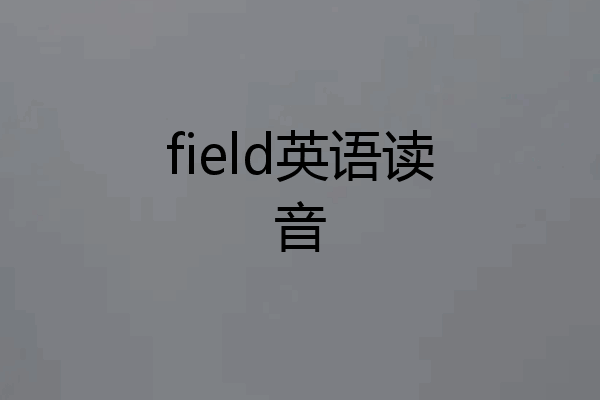 field英语读音