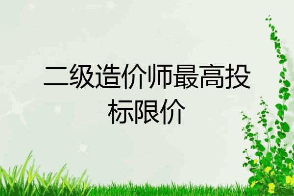 二级造价师最高投标限价