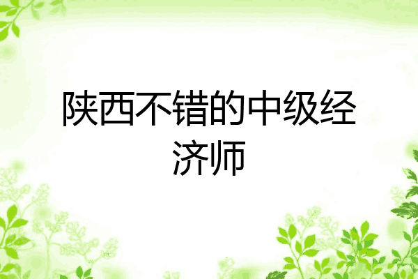 陕西不错的中级经济师